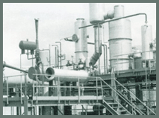 bio-passiv-services
